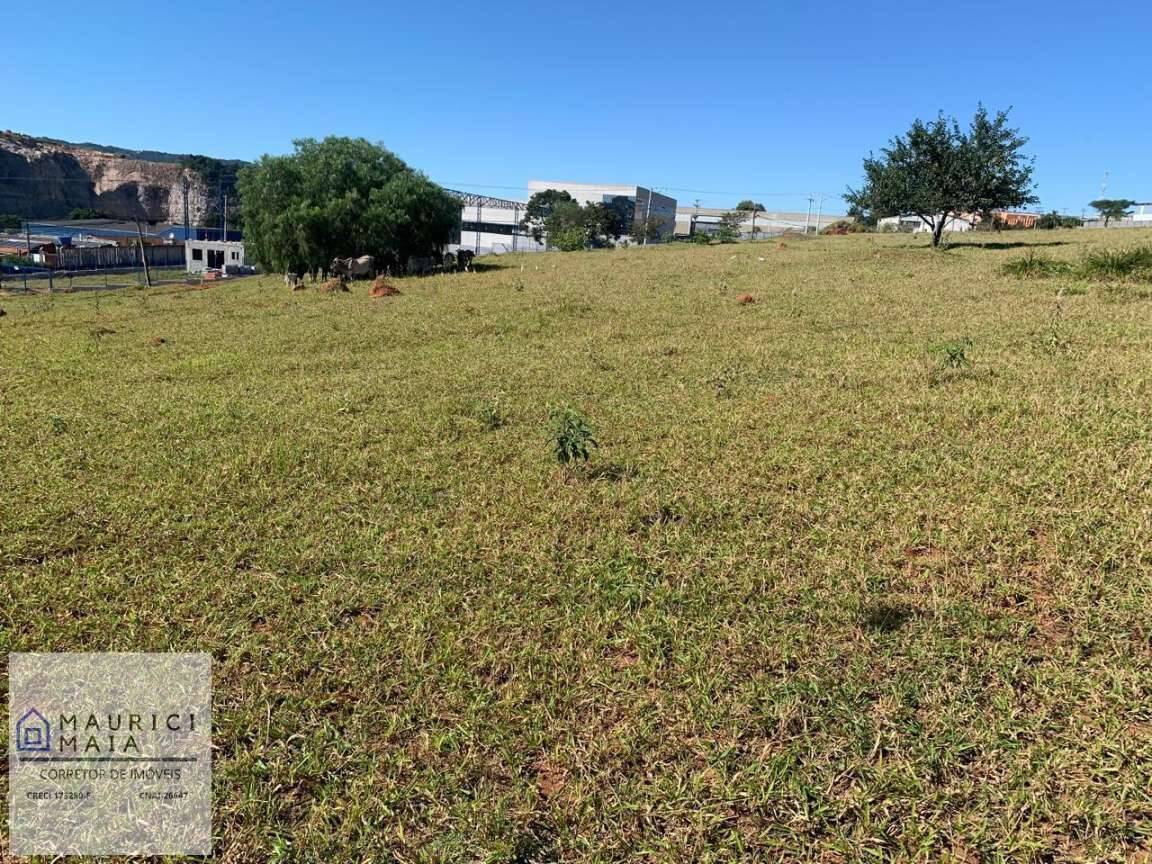 Terreno, 5204 m² - Foto 6