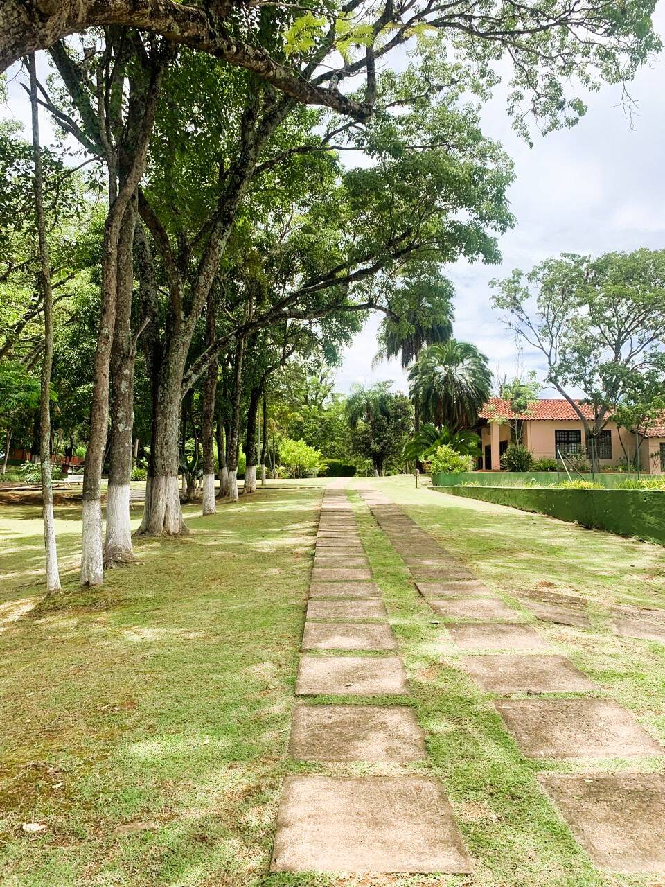 Casa, 6 quartos, 1000 m² - Foto 37