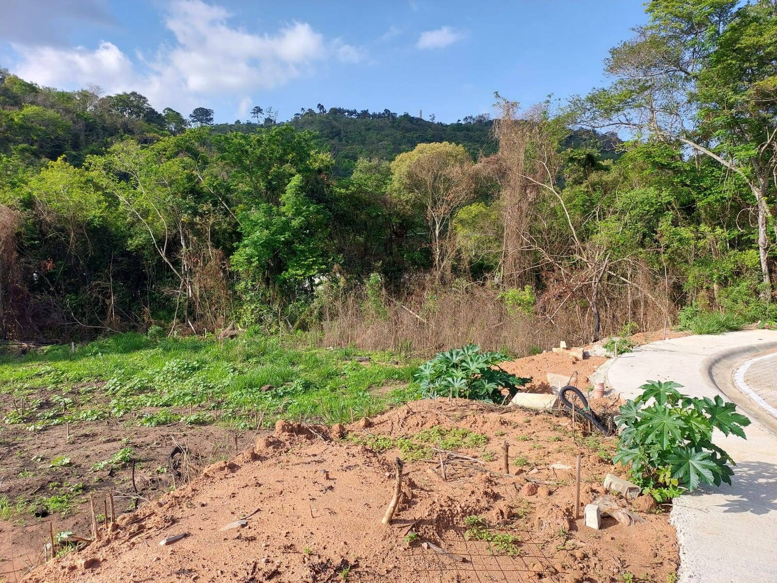 Terreno, 360 m² - Foto 6