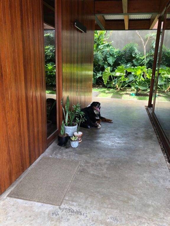 Casa, 4 quartos, 613 m² - Foto 6