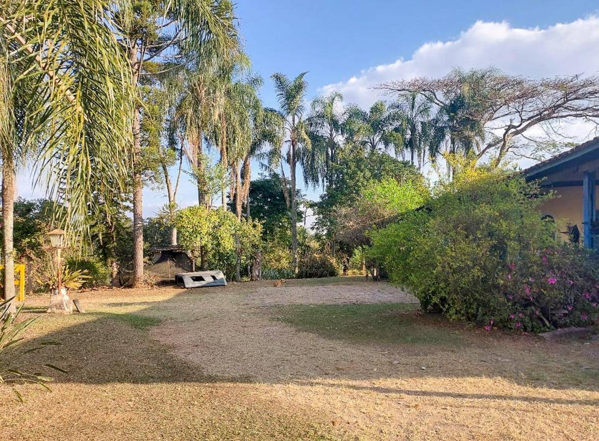 Terreno, 4 hectares - Foto 7