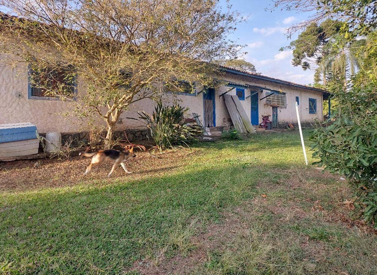 Terreno, 4 hectares - Foto 8