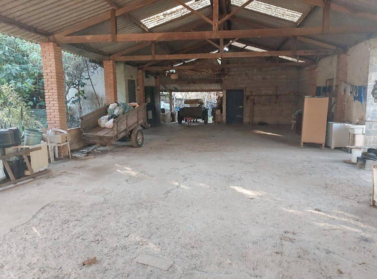 Terreno, 4 hectares - Foto 9