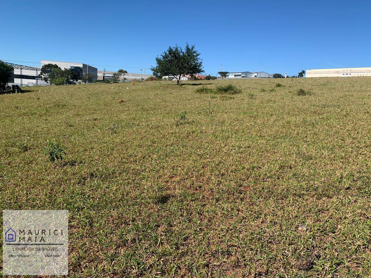 Terreno, 5204 m² - Foto 6