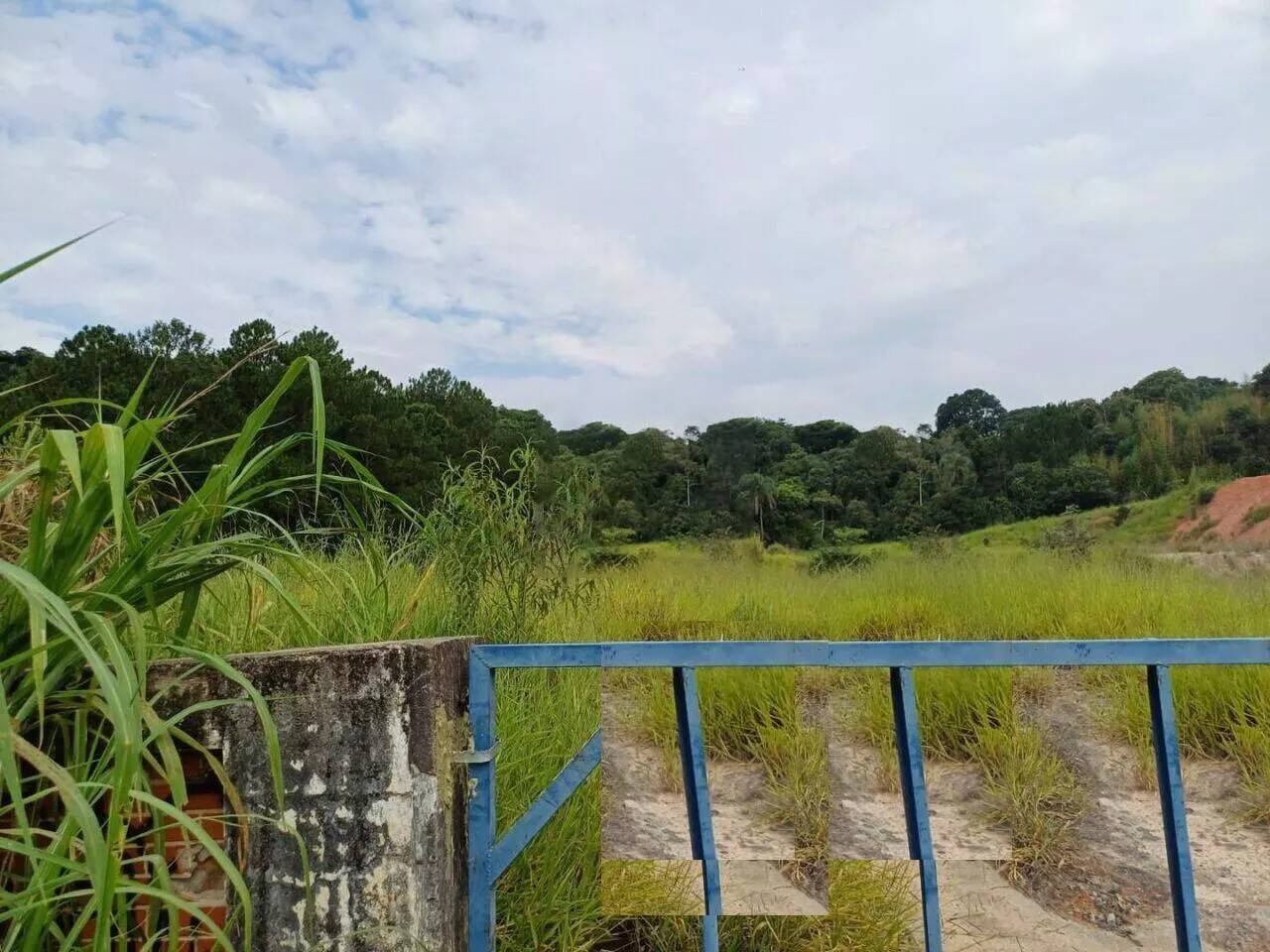 Terreno, 2 hectares - Foto 2