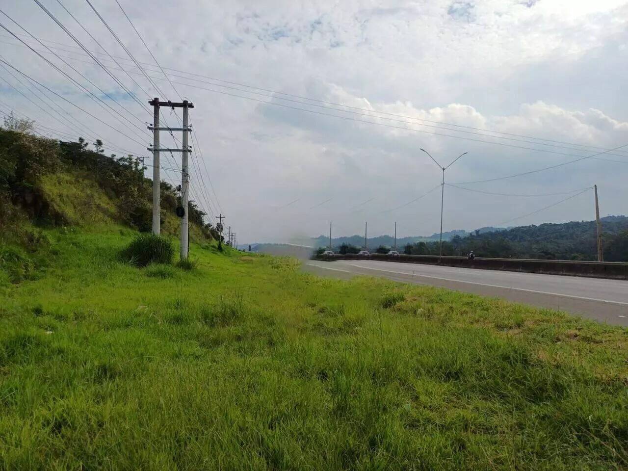 Terreno, 2 hectares - Foto 6