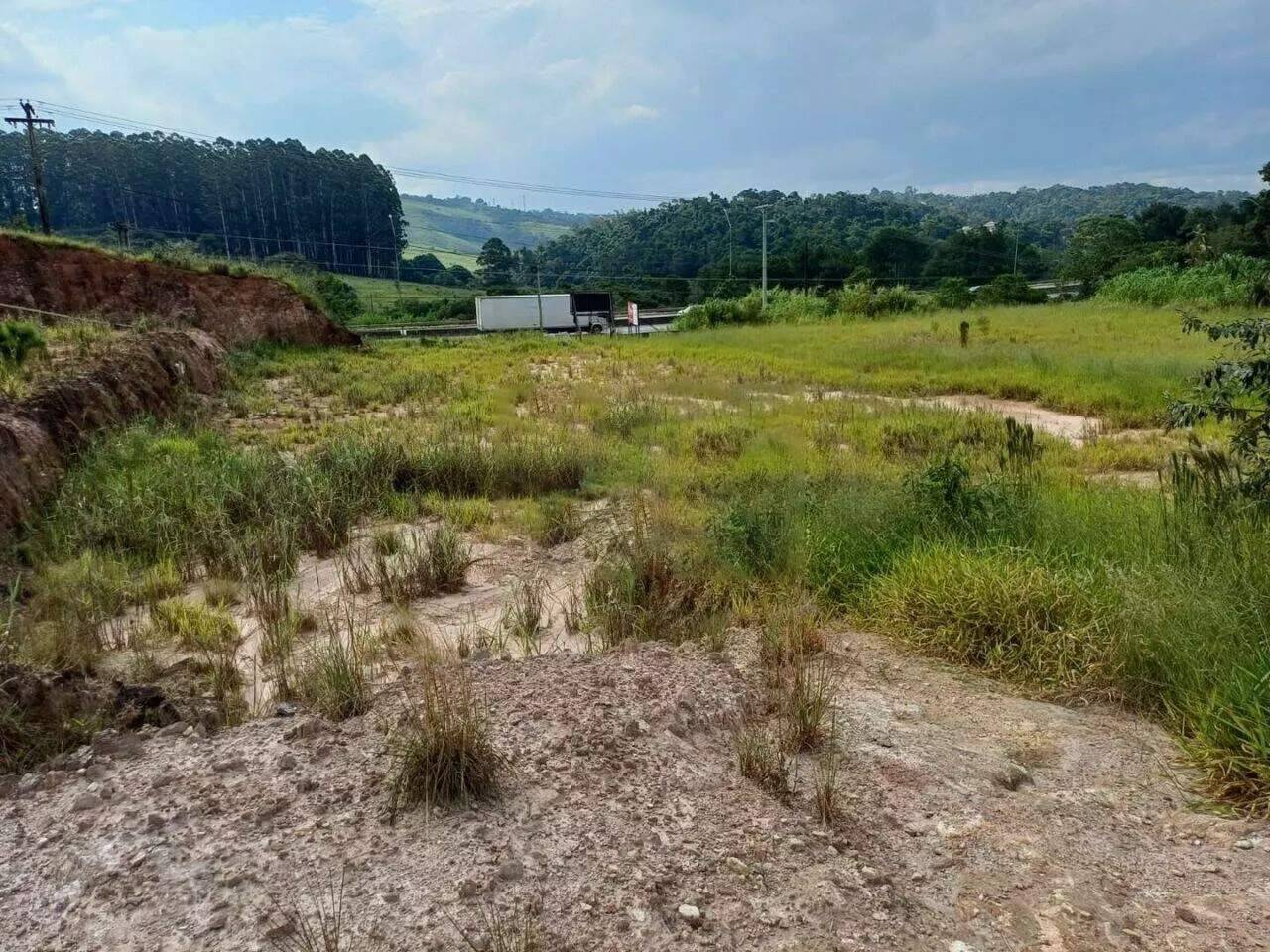 Terreno, 2 hectares - Foto 13