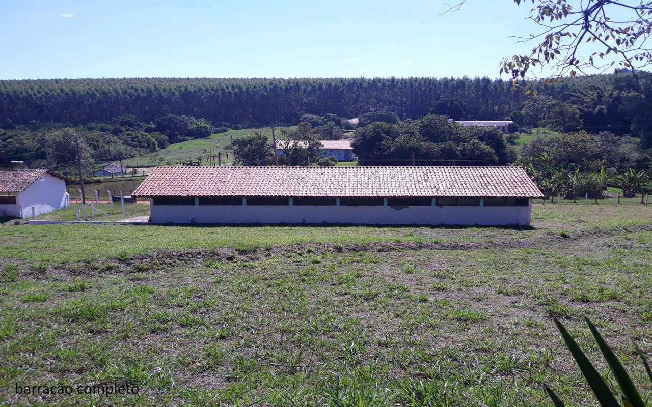 Sítio, 7 quartos, 2 hectares - Foto 10