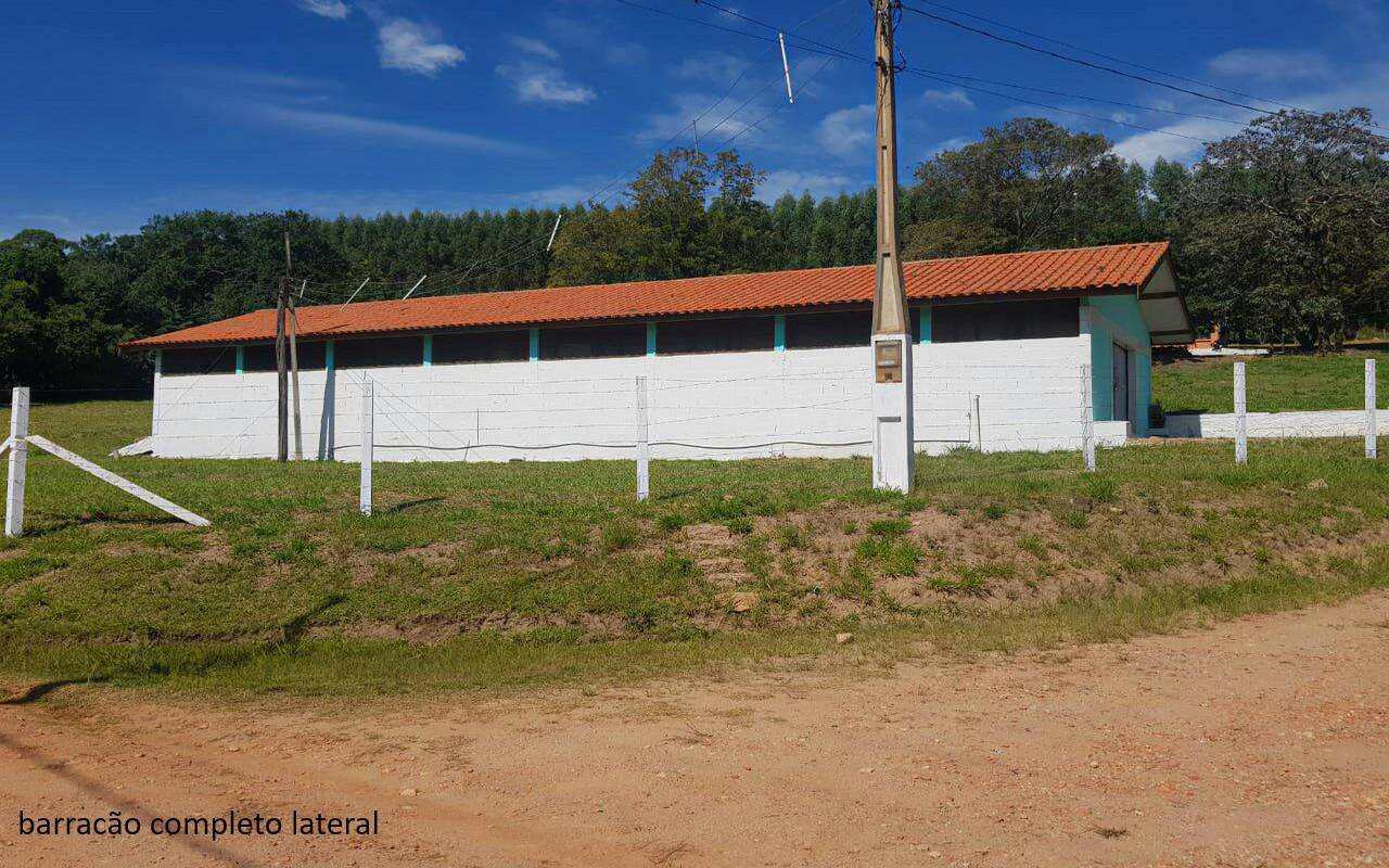 Sítio, 7 quartos, 2 hectares - Foto 11