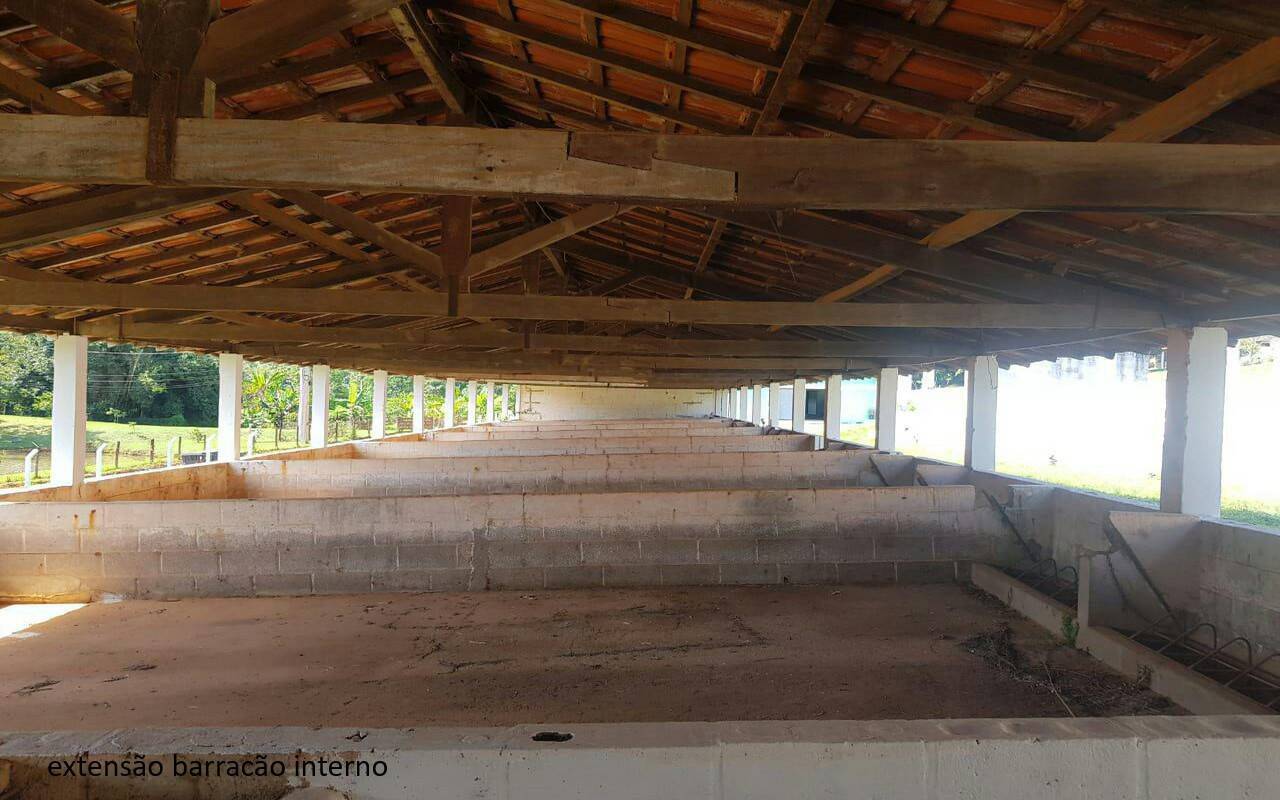 Sítio, 7 quartos, 2 hectares - Foto 32