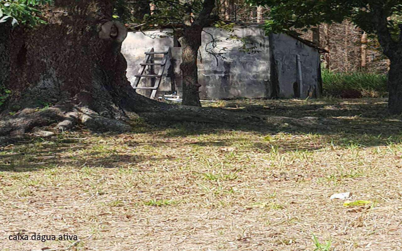 Sítio, 7 quartos, 2 hectares - Foto 35