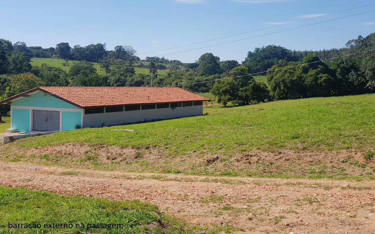 Sítio, 7 quartos, 2 hectares - Foto 42