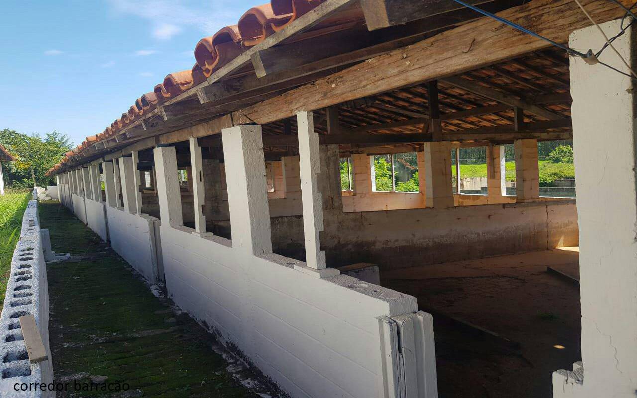 Sítio, 7 quartos, 2 hectares - Foto 43