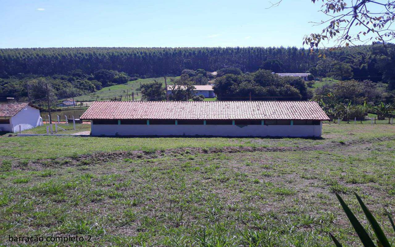 Sítio, 7 quartos, 2 hectares - Foto 44