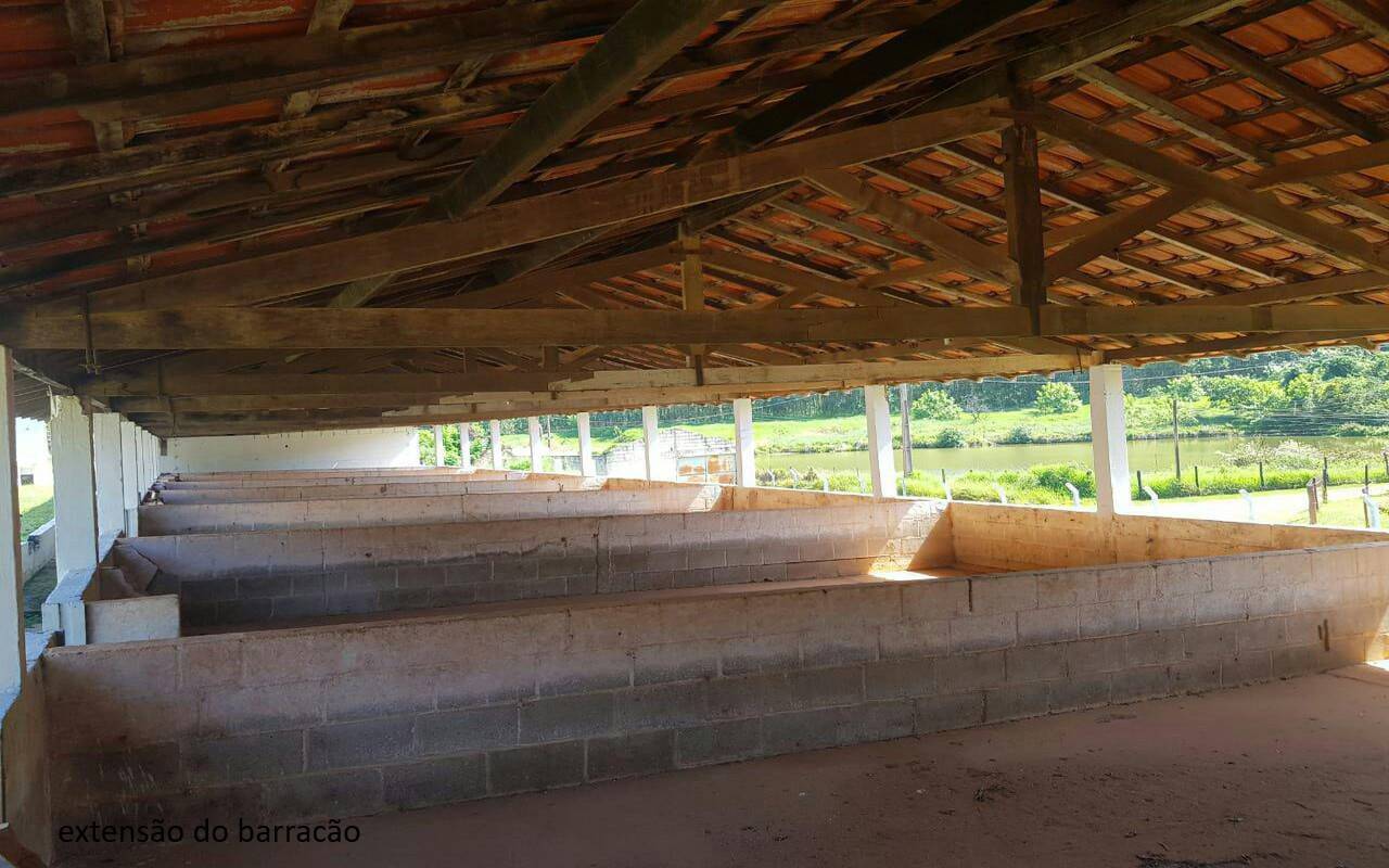 Sítio, 7 quartos, 2 hectares - Foto 46